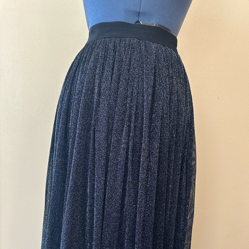 Sparkly Elegant Black Skirt